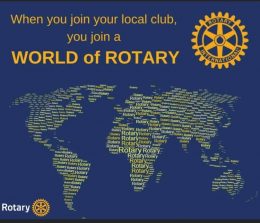 Join Rotary Club of The Entrance